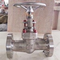 ASTM B381 F2  globe  valve 2'' 600LB