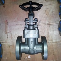 HC276  globe  valve  1'' 150LB