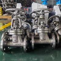 TA2  globe valve DN25 PN16