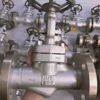 TA2  globe  valve 1 1/2'' 300LB