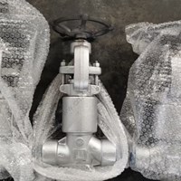 ASTM A182 F321  globe  valve  3/8'' 2500LB