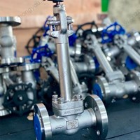 ASTM A182 F304  Extended Stem globe  valve DN25 PN25