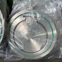 316  Single Disc Wafer Check Valve 14'' 150LB