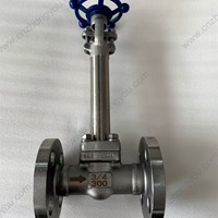 ASTM A182 F304  Extended Stem globe  valve  3/4'' 300LB