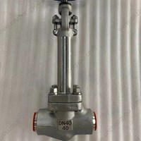 ASTM A182 F304  Extended Stem globe  valve DN40 PN40