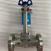 ASTM A182 F304L  Extended Stem globe  valve  1'' 600LB