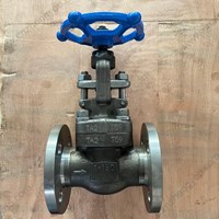 TA2  globe  valve 1'' 150LB