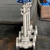 ASTM A182 F304  Extended Stem globe  valve  3/4'' 150LB