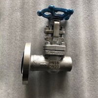 ASTM A182 F304  Extended Stem globe  valve DN20 PN16