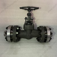 ASTM A350 LF2  globe  valve with CFGF 2'' 600LB