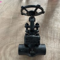 ASTM A350 LF2  globe  valve  1'' 800LB