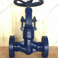 ASTM A182 F1 globe  valve 2'' 1500LB